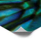 アメリカ、コロラド、ラファイエット。アワビ貝紋章 ポスター (角)