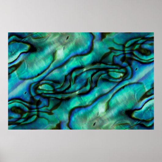 アメリカ、コロラド、ラファイエット。アワビ貝紋章 ポスター (正面)