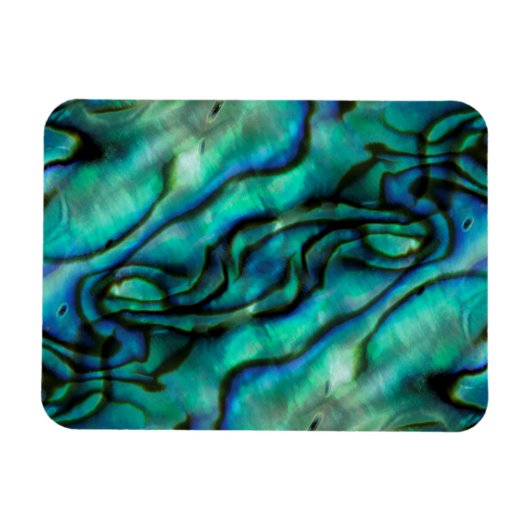 アメリカ、コロラド、ラファイエット。アワビ貝紋章 マグネット (横)