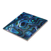 アメリカ、コロラド、ラファイエット。アワビ貝 タイル (側面)