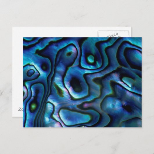 アメリカ、コロラド、ラファイエット。アワビ貝 ポストカード (正面/裏面)