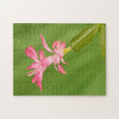 アメリカ、コロラド、ラファイエット。クリスマスサボテン ジグソーパズル (横)