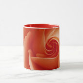 アメリカ、コロラド、ラファイエット。桃バラのクローズアップ マグカップ (中央)