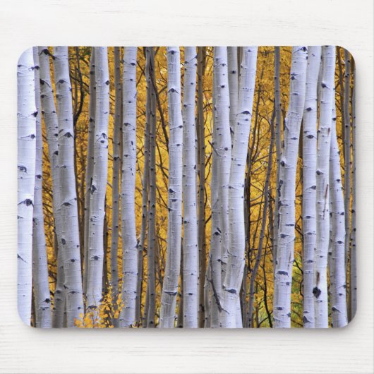 アメリカ、コロラド、ロッキー山脈。親密な場面 マウスパッド (正面)