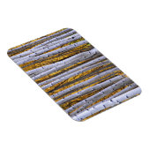 アメリカ、コロラド、ロッキー山脈。親密な場面 マグネット (右側)