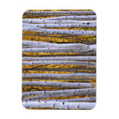 アメリカ、コロラド、ロッキー山脈。親密な場面 マグネット (縦)