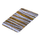 アメリカ、コロラド、ロッキー山脈。親密な場面 マグネット (左側)