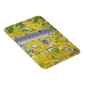 アメリカ、コロラド、ロッキー山脈。親密な《植物》アスペン2 マグネット (右側)