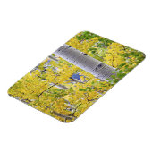 アメリカ、コロラド、ロッキー山脈。親密な《植物》アスペン2 マグネット (左側)