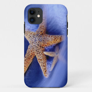 アメリカ,サウスカロライナ州,ヒルトンヘッドアイランド。二 iPhone 11 ケース