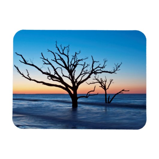 アメリカ、サウスカロライナ、エジプトアイランド、ボタニベイ マグネット (横)