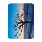 アメリカ、サウスカロライナ、エジプトアイランド、ボタニベイ マグネット (縦)