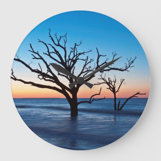 アメリカ、サウスカロライナ、エジプトアイランド、ボタニベイ ラージ壁時計 (正面)