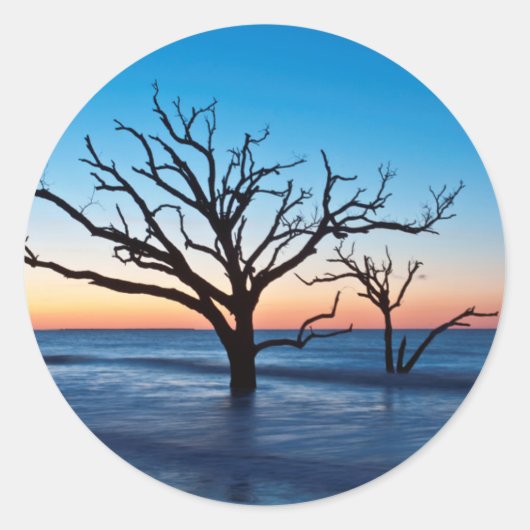 アメリカ、サウスカロライナ、エディスト島、ボタニー湾 ラウンドシール (正面)