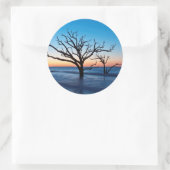 アメリカ、サウスカロライナ、エディスト島、ボタニー湾 ラウンドシール (バッグ)