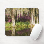 アメリカ、サウスカロライナ、チャールストン。ヒノキ マウスパッド (マウス)