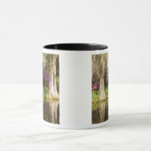 アメリカ、サウスカロライナ、チャールストン。ヒノキ マグカップ (中央)