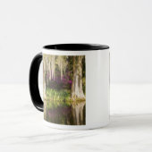 アメリカ、サウスカロライナ、チャールストン。ヒノキ マグカップ (正面左)