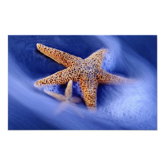 アメリカ、サウスカロライナ、ヒルトンヘッドアイランド。二 フォトプリント            (正面)