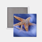 アメリカ、サウスカロライナ、ヒルトンヘッドアイランド。二 マグネット (正面/裏面)