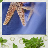 アメリカ、サウスカロライナ、ヒルトンヘッドアイランド。2 キッチンタオル (折り畳み)