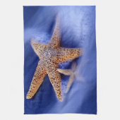 アメリカ、サウスカロライナ、ヒルトンヘッドアイランド。2 キッチンタオル (縦)