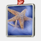 アメリカ、サウスカロライナ、ヒルトンヘッドアイランド。2 メタルオーナメント (左)