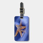 アメリカ、サウスカロライナ、ヒルトンヘッドアイランド。2 ラゲッジタグ (正面縦)