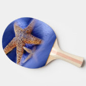 アメリカ、サウスカロライナ、ヒルトンヘッドアイランド。2 卓球ラケット (横)