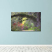 アメリカ、サウスカロライナ、マグノリア庭園。 キャンバスプリント (インサイチュ (ウッドフロア))