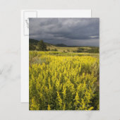 アメリカ・サウスダコタ州、花と嵐 ポストカード (正面/裏面)