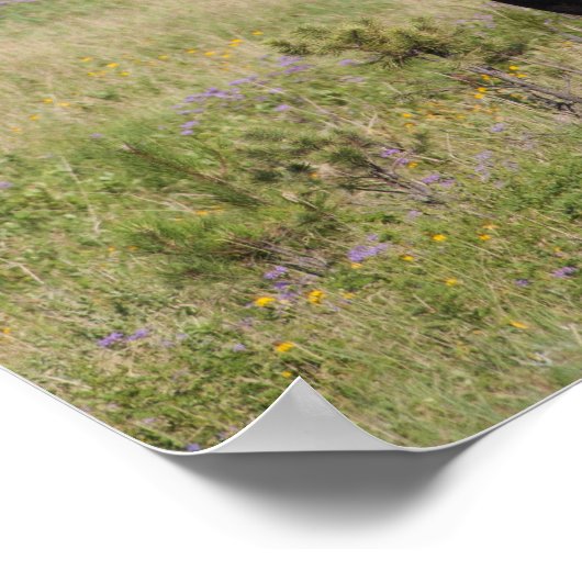 アメリカ、サウスダコタ、アメリカのバイソン(バイソンバイソン) ポスター (角)