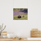 アメリカ、サウスダコタ、アメリカのバイソン(バイソンバイソン) ポスター (キッチン)