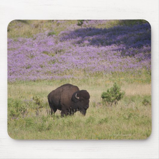 アメリカ、サウスダコタ、アメリカのバイソン（バイソンバイソン） マウスパッド (正面)
