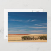 アメリカ、サウスダコタ、ムード、草原の風景 ポストカード (正面/裏面)