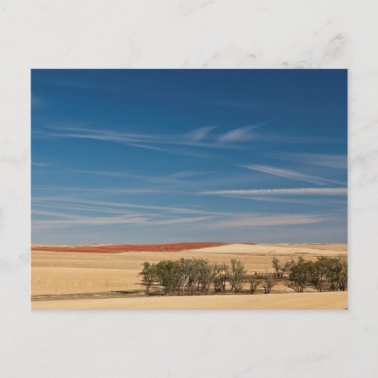 アメリカ、サウスダコタ、ムード、草原の風景 ポストカード (正面)