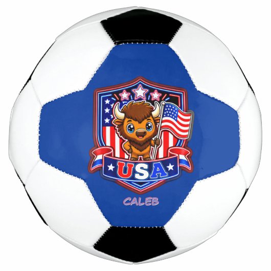 アメリカ サッカーボール (正面)