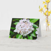 アメリカ・シャクナゲの挨拶状 カード (黄色い花)