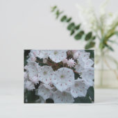アメリカ・シャクナゲの花の郵便はがき ポストカード (スタンド正面)