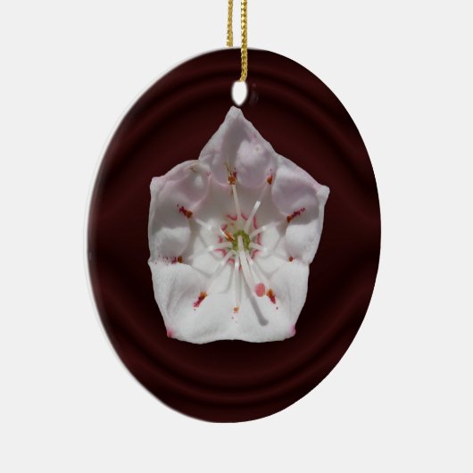 アメリカ・シャクナゲの花の~のオーナメント セラミックオーナメント (右)
