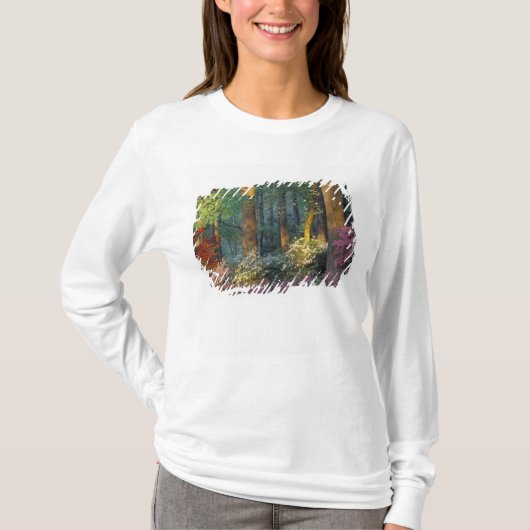 アメリカ, ジョージア州, キャラウェイガーデンズ, ツツジの森 Tシャツ (正面)