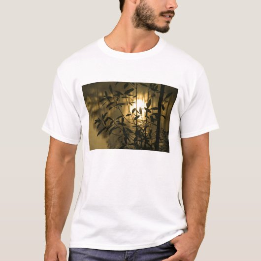 アメリカ, ジョージア州, キャラウェイガーデンズ, 日の出 Tシャツ (正面)