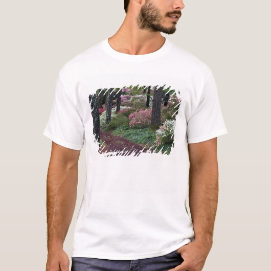 アメリカ, ジョージア州, キャラウェイ ガーデンズ. 遊歩道 Tシャツ (正面)