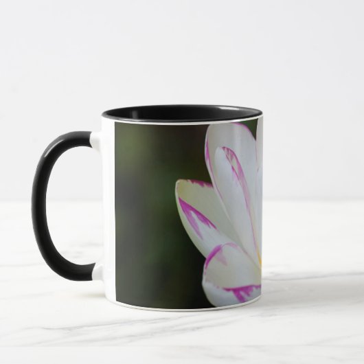 アメリカ、ジョージア州、サバンナ、蓮の花の開花 マグカップ (左)