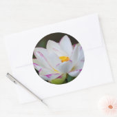 アメリカ、ジョージア州、サバンナ、蓮の花の開花 ラウンドシール (封筒)