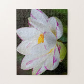 アメリカ,ジョージア州,サバンナ,蓮の花 ジグソーパズル (縦)