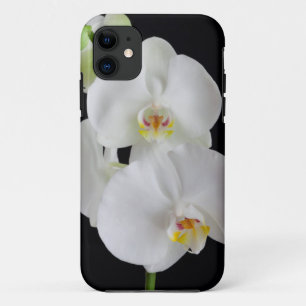 アメリカ,ジョージア州,サバンナ,蘭の房 iPhone 11 ケース