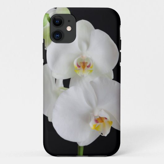 アメリカ,ジョージア州,サバンナ,蘭の房 Case-Mate iPhoneケース (裏面)