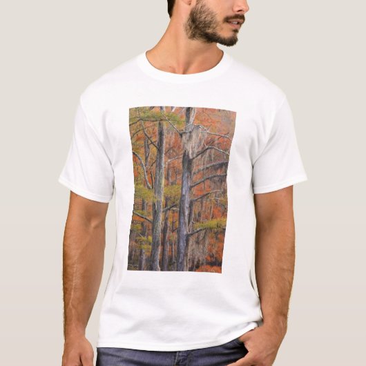 アメリカ,ジョージア州,ジョージ・スミス州立公園,イトスギ Tシャツ (正面)