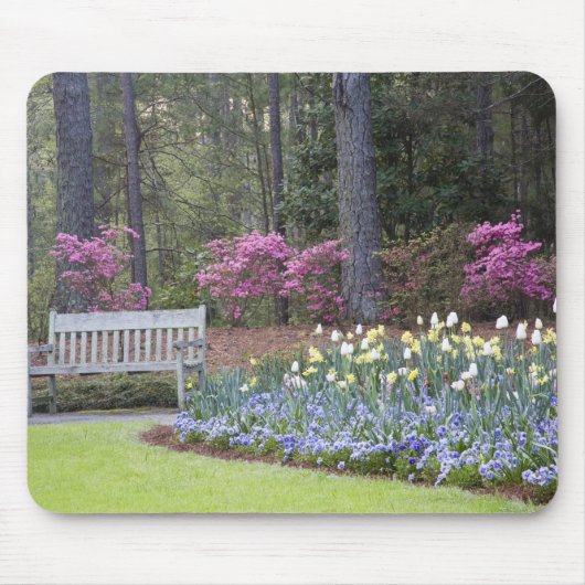 アメリカ, ジョージア州, パインマウンテン。の境界 マウスパッド (正面)